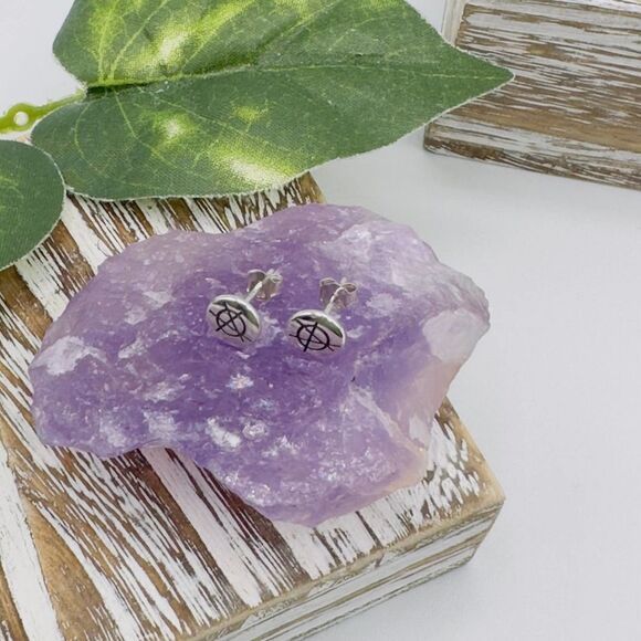 Punk Rock Anarchy Logo Sterling Silver Stud Earrings - Picture 5 of 5